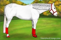 Horse Color:Chestnut Blanket Rabicano 