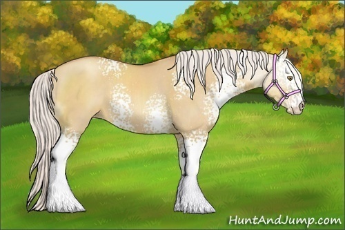 Horse Color:White Spotted Silver Classic Champagne Dun Sabino 