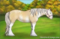 Horse Color:White Spotted Silver Classic Champagne Dun Sabino