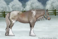 Horse Color:White Spotted Silver Black 