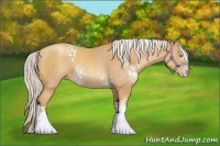 Horse Color:White Spotted Silver Classic Champagne Sabino