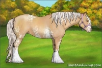 Horse Color:White Spotted Silver Classic Champagne Sabino