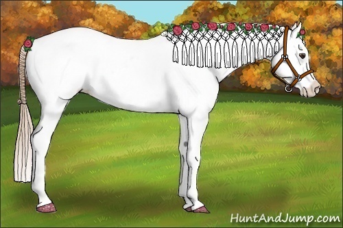 Horse Color:Chestnut Frame Varnish 