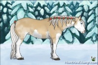 Horse Color:Silver Bay Dun Splash Rabicano