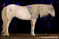 Horse Color:Red Roan Pearl 
