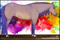 Horse Color:Watercolor Bay Dun 