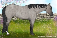 Horse Color:Grullo Roan Tobiano