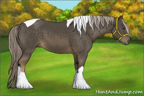 Horse Color:Chocolate Palomino Tobiano 