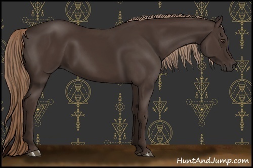 Horse Color:Liver Chestnut 