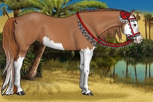 Horse Color:Chestnut Splash 