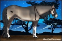 Horse Color:Blue Onyx