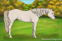 Horse Color:Smoky Creme