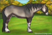 Horse Color:Blue Onyx 