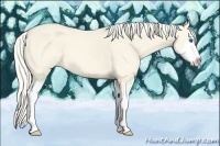 Horse Color:Cremello Dun Splash