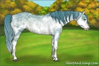 Horse Color:Watercolor Liver Red Ice Roan Splash Rabicano 