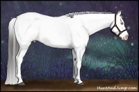 Horse Color:White Spotted Liver Chestnut Ice Appaloosa