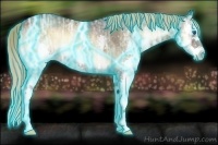 Horse Color:Thunderstruck Liver Red Onyx Ice Roan Splash