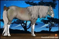 Horse Color:Silver Black Splash