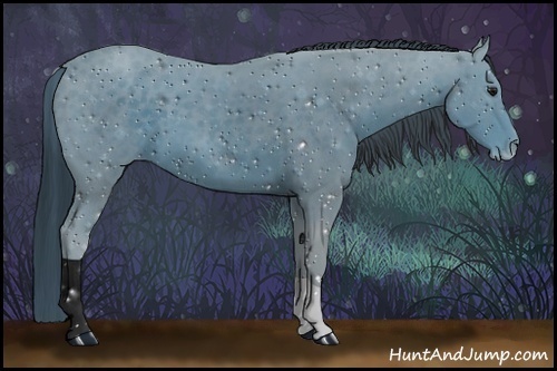 Horse Color:ERROR: UNKNOWN ANOMALY