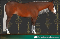 Horse Color:Silver Brown