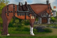 Horse Color:Chocolate Bay