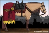 Horse Color:Chocolate Buckskin 