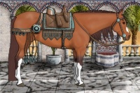 Horse Color:Chocolate Bay 