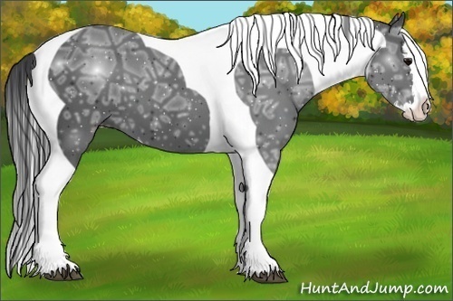 Horse Color:Black Ice Splash Tobiano 