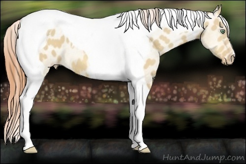 Horse Color:Amber Cream Champagne Dun Tobiano Varnish