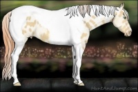 Horse Color:Amber Cream Champagne Dun Tobiano Varnish