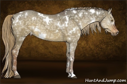 Horse Color:White Spotted Liver Red Dun Ice 