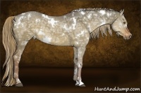 Horse Color:White Spotted Liver Red Dun Ice 