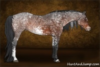 Horse Color:White Spotted Bay Ice