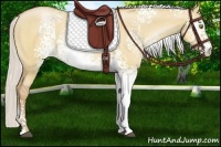 Horse Color:White Spotted Silver Bay Pearl Dun