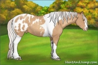 Horse Color:Silver Sable Champagne Sabino Tobiano Blanket 