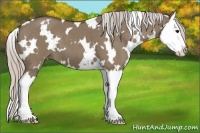 Horse Color:White Spotted Silver Grullo Splash 