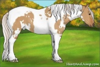 Horse Color:White Spotted Silver Bay Dun Tobiano