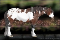 Horse Color:White Spotted Bay Frame Varnish