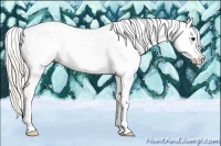 Horse Color:Silver Brown Tobiano Snowcap 