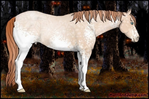 Horse Color:White Spotted Buckskin Ice Pearl 