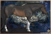 Horse Color:Buckskin Tobiano