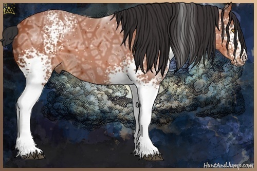 Horse Color:White Spotted Bay Ice 