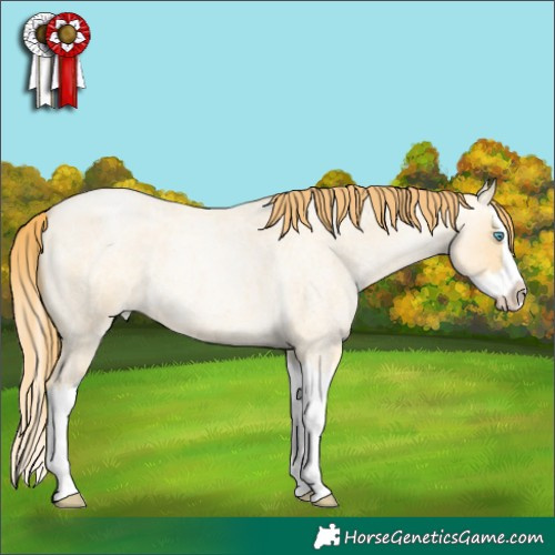 Horse Color:Buckskin Roan Pearl Dun Splash 