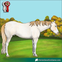 Horse Color:Buckskin Roan Pearl Dun Splash 
