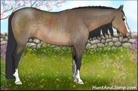 Horse Color:Brown Dun Sabino Rabicano
