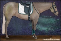 Horse Color:Silver Black 