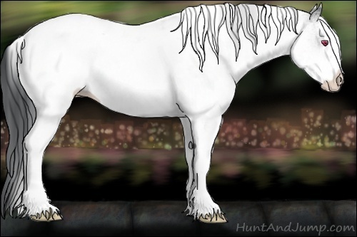 Horse Color:White Spotted Bay Chinchilla Tobiano 