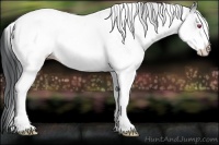 Horse Color:White Spotted Bay Chinchilla Tobiano 