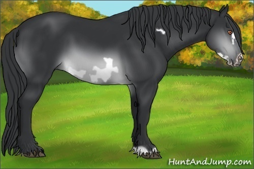 Horse Color:Brown Chinchilla Frame 