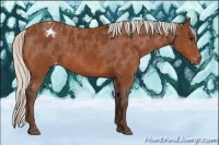 Horse Color:Silver Brown Varnish